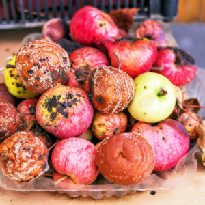 Faules, vergorenes Obst